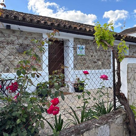 La Casa Vieja De Marchenilla Villa Jimena De La Frontera Exteriör bild